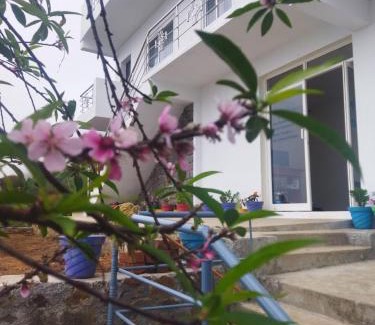 Kodaikanal House | Mount View Resorts Kodai