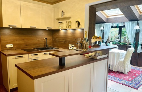 Altmuenster Apartment | Mountain View penthouse suite with wooden cabin/sauna/Netflix