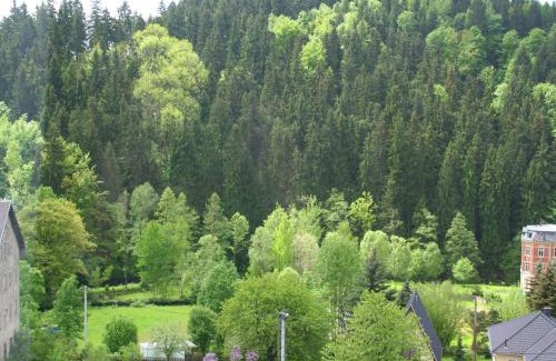Grunhainichen Villa | Mountain Bliss in Borstendorf, cleaning included