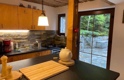 Muntele Baisorii House | Mountain Chalet - Cabana la Muntele Baisorii