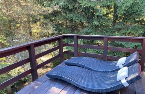 Muntele Baisorii House | Mountain Chalet - Cabana la Muntele Baisorii