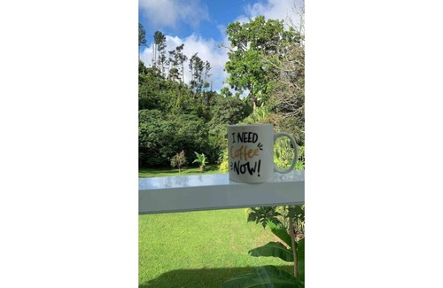 Barranquitas House | Mountain Hideaway | Nature Privacy | Scenic Views