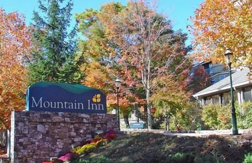 Wintergreen Condo | Mountain Inn Lodge 64 with Wintergreen Advantage