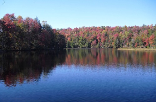 Lowville Cabin | Mountain Laurel Cabin at The King's Pines