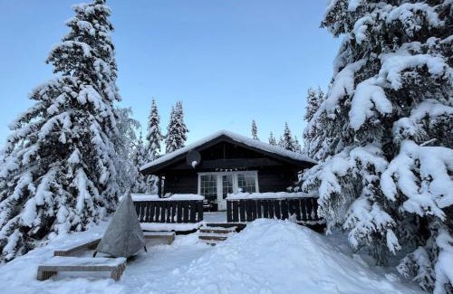 Nord-Aurdal House | Mountain lodge with sauna, by Damtjernet