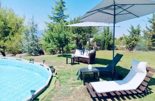 Marathon House | Mountain pool house
