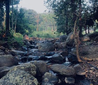 Kottathara House | Mountain river farm resort