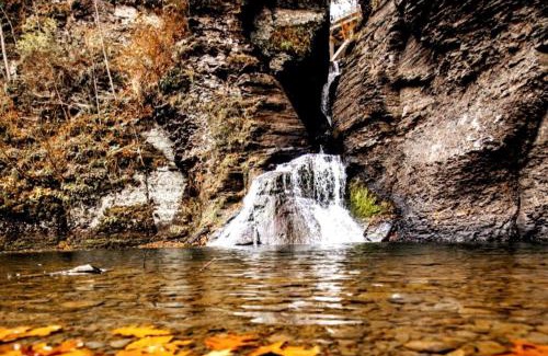 North Blenheim House | Mountain-Top-Hideaway Stay in a log cabin on a private rd! Swim, hike, explore a true mountain experience