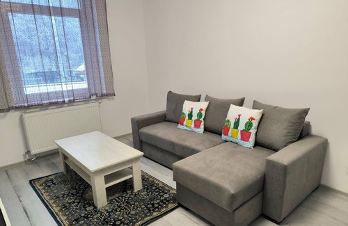 Baia Mare Apartment | Mountain view, cozy 1-bedroom apartment in charming Baia Mare with WiFi