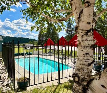 Rapid City Cabin | Mountain View Lodge & Cabins