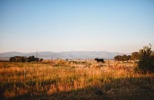 Carbon County House | Mountain-View Log Cabin in Wyoming Wilderness