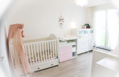 Lottstetten Apartment | Mountainview - Deluxe