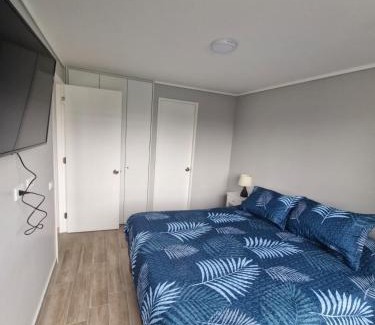 Downtown Santiago Apartment | Movistar Arena - Ohiggins Park - Parking