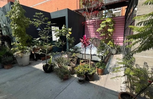Escandon House | Mr. W | Oasis in the City | 3BR