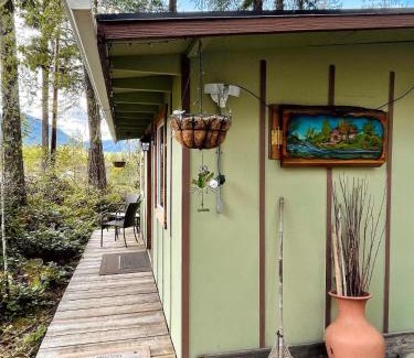 Paradise Estates House | Mt Rainier Little Green Cabin On Big Creek!