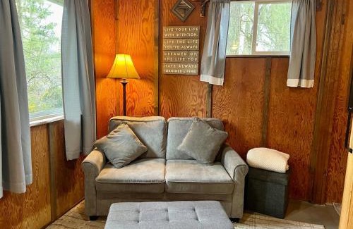 Paradise Estates House | Mt Rainier Little Green Cabin On Big Creek!