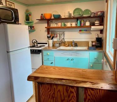 Paradise Estates House | Mt Rainier Little Green Cabin On Big Creek!