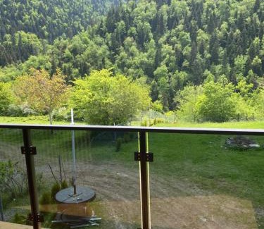 Likani Apartment | MTA house - Borjomi