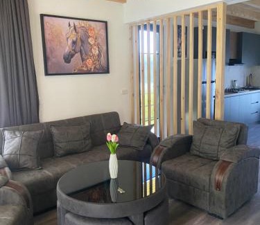 Likani Apartment | MTA house - Borjomi