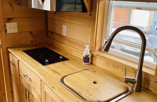 Newport Cabin | Mtn Roots cozy Cabin in the ITH Community in the Smoky Foothills