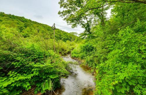 Long Eddy House | Mtn-View Deck and Grill Creekside Catskills Cabin!
