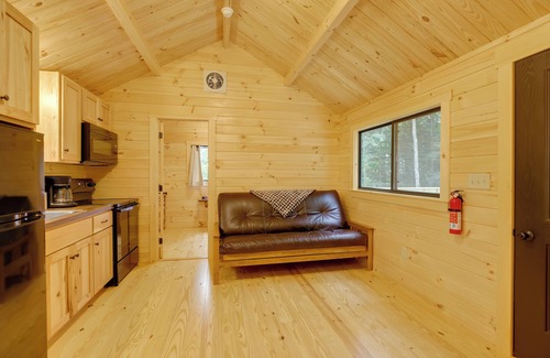 Cowanesque Cabin | Mtn-View Middlebury Center Cabin: Deck & Grill!