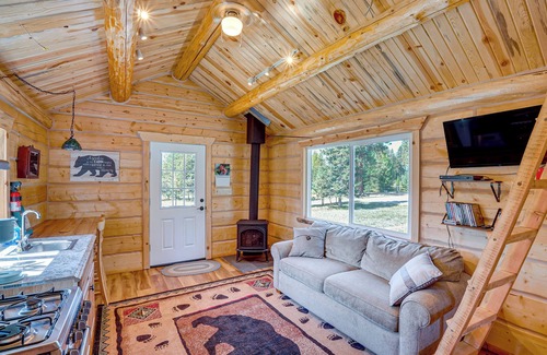 Trout Creek Apartment | Mtn Views & Fireplace: Cozy Trout Creek Tiny Home