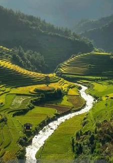 Mu Cang Chai Hotel | Mu Cang Chai Eco Home