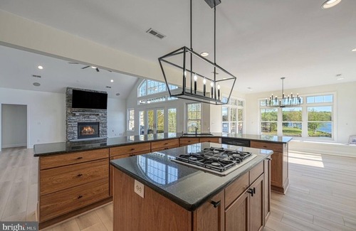 Bumpass House | Multi-family DREAM - LAKEFRONT w/private lagoon. Sleeps 20 w/TWO full kitchens