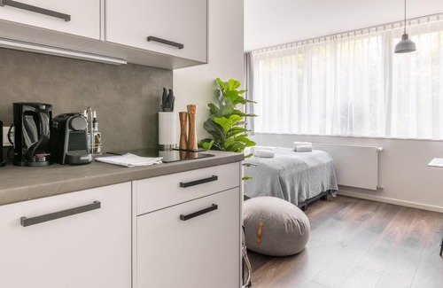 Hasenbergl-Lerchenau Ost Apartment | Munich Olschewskibogen | Suite