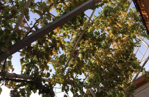 Samarkand House | Munis