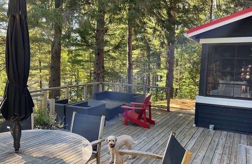 Washago Cottage | Muskoka Log Cabin with Modern Amenities