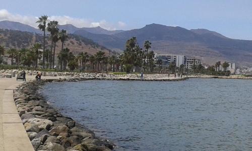 Nador House | Mustapha