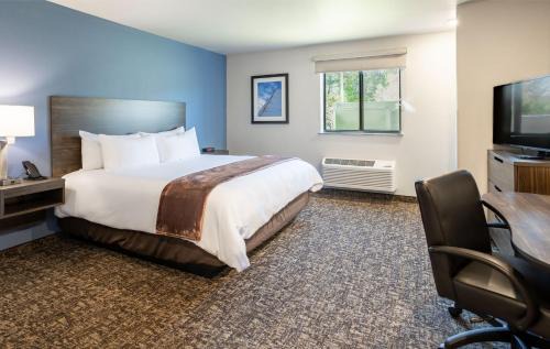 Midland Hotel | My Place Hotel-Midland, TX