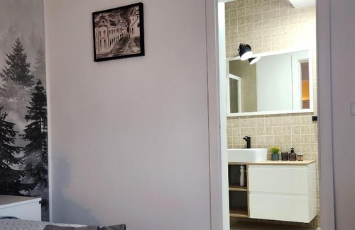 Curtea De Arges House | My room accommodation