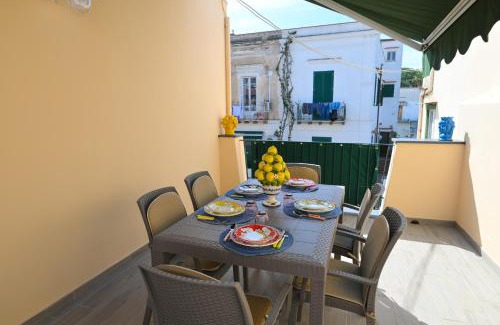 Ischia Porto Apartment | Myosotis - Apartment with terrace in Ischia