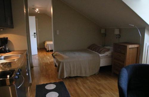 Myrkdalen Apartment | Myrkdalen Resort- studio apartment