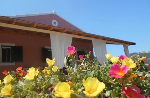 Dafnata House | Myrto's House