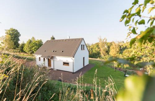 Bozanov House | Na Údolí