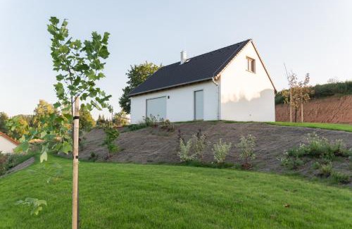 Bozanov House | Na Údolí