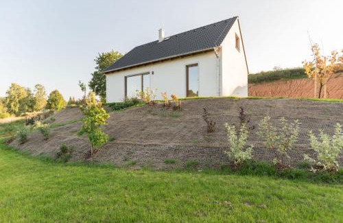 Bozanov House | Na Údolí