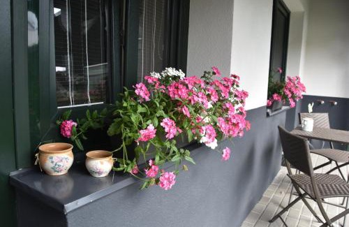 Jindrichuv Hradec Apartment | Na Útesu