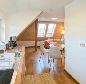 Schneeberg Apartment | Nachhaltige, veganfreundliche Unterkunft direkt am Bergbaulehrpfad in Schneeberg