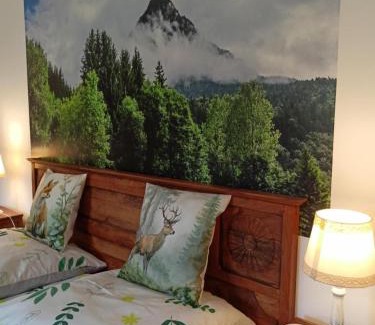 Mszana Dolna Apartment | Nad Strumykiem