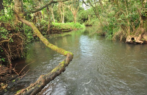 Uasin Gishu Resort | Naiberi River Campsite & Resort