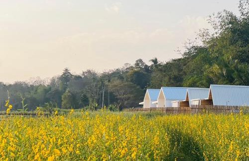 Wiang Sa House | Nalai View Cafe'&Restaurant/Homestay