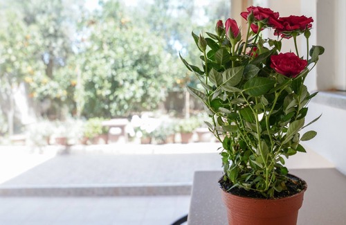 Agia Apartment | Nana apt - Home near city