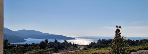 Radovici Apartment | Nana & Nona Luštica Bay