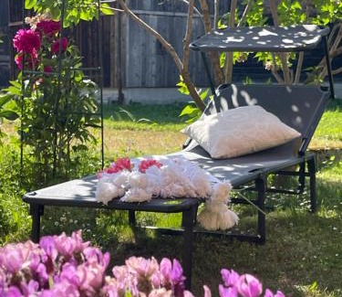 Obergesteln Apartment | Nanisgarten - Grannys flat