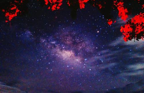 Phrao House | Napahong Treehouse นาป่าฮง Andromeda & Cassiopeia